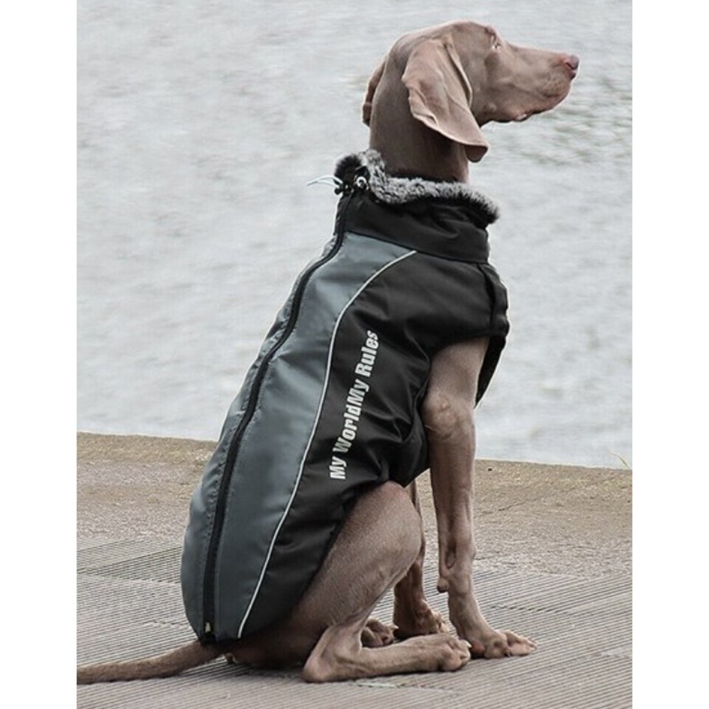 My World My Rules Dog Black Neon Yellow Reflective Harness Winter Jacket Coat XL
